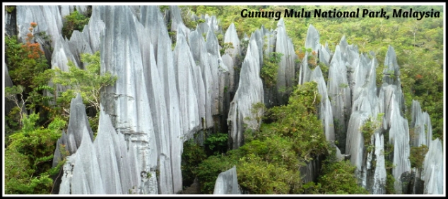 gunung-mulu-national-park-malaysia